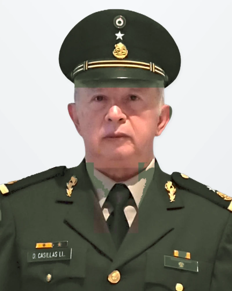General Brigadier C.D. David Casillas del Llano