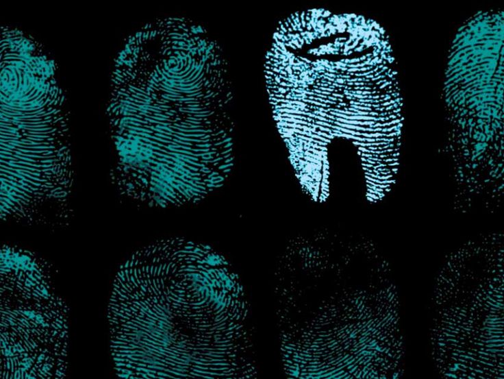 Composición visual de odontología legal y forense